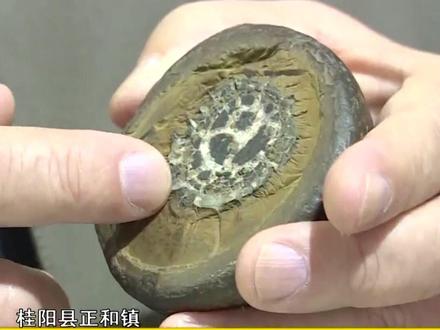 桂阳县正和镇 村民偶得一块 #奇石 专家认定属 “铁胆石”