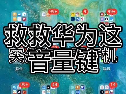 啊啊啊啊 这音量键再跳下去 我要疯了 谁来拯救华为 #华为 #华为质量