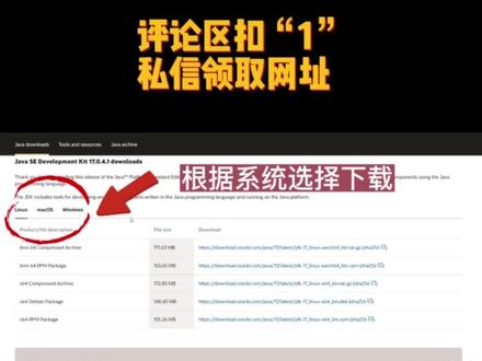 如何安装JDK,戳视频学起来!#程序员 #电脑知识 #干货分享 #计算机 #软件开发 #互联网技术 #Java #编程