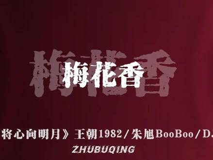 朝为田舍郎 暮登天子堂.
#我本将心向明月 #dj降调