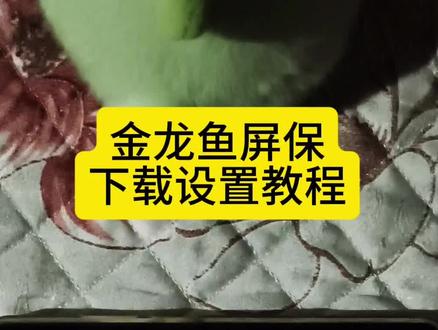 《保护资源》金龙鱼屏保下载教程#金龙鱼屏保#金龙鱼屏保怎么下载#金龙鱼屏保怎么设置#金龙鱼#电视屏保