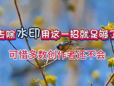 剪映去除水印用这一招就足够了,可惜多数新手还不会,看完秒懂 #视频剪辑教程 #手机剪辑教学 #短视频制作教程