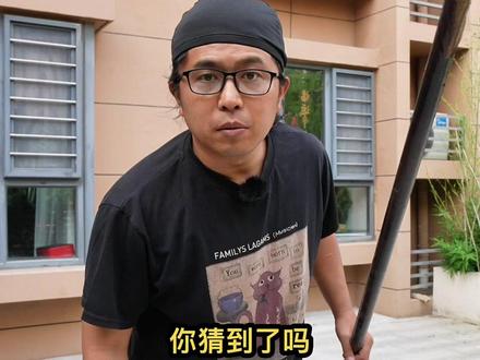 看技能猜王者英雄#抽象 #模仿 #王者 #游戏