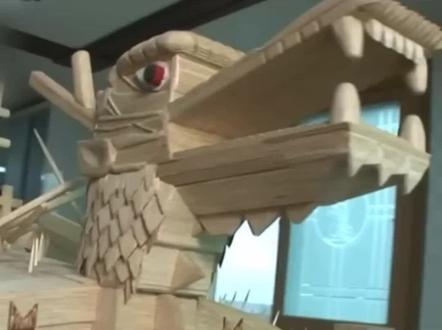 #世界之最 世界上用火柴建造龟船#奇闻奇事 #人才啊