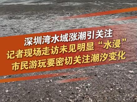 近日,不少网友反映深圳湾水域涨潮明显。6月2日下午4点,记者在深圳湾公园看到,现场正在缓慢退潮,并无明显水浸现象。提醒:近期深圳湾水域持续涨潮,市民游玩时要密切关注潮汐变化。#深圳 #深圳湾 @抖音小助手 @DOU+小助手