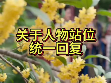 AI短剧人物站位工作流 通过提示词工作流锁定人物站位和动作衔接,方便查看人物站位关系,工作流只是工具,还是需要人为检查,减少出错率和盲目抽卡#AI提示词 #人物站位 #电影感 #AI工作流 #真人剧