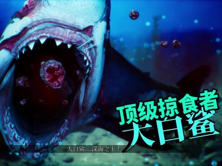 #maneater食人鲨 #maneater#eipc背刺 #steam游戏 暗影套装鲨鱼轻松干掉大白鲨