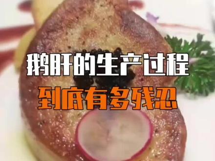 鹅肝的生产过程,到底有多残忍 #科普#涨知识 #鹅肝