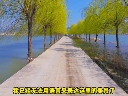 这是不是你们想象中的地方?东平湖水上公路#骑行不止是骑行 #骑车看风景 #闪600 #闪600v4 #闪600v4声浪