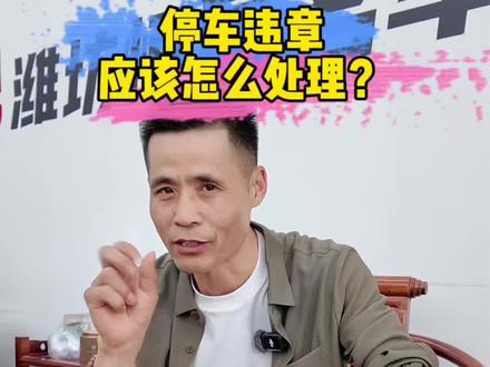 学会了吗家人们#罚款 #停车违章 #交罚款