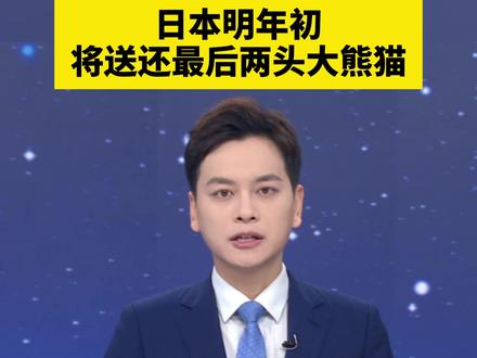 日本明年初将送还最后两头大熊猫(观察者网)