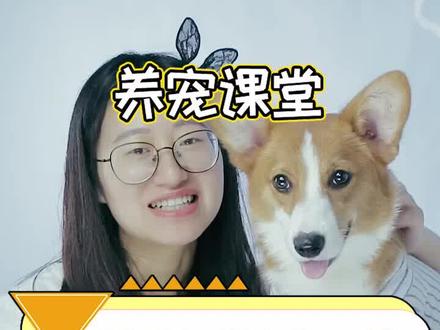 #抖音小抖音助手 #萌宠 #宠物知识 狗狗翻白眼,不只是想mia你。