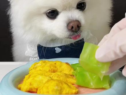 今天吃 蛋饺➕卷心菜~ 最近一直带豆腐在外面溜达🫣
今儿终于得空来更新小豆腐吃播啦~
ee们新年好呀!~👏
#博美#治愈#沉浸式#吃饭嘎嘎香