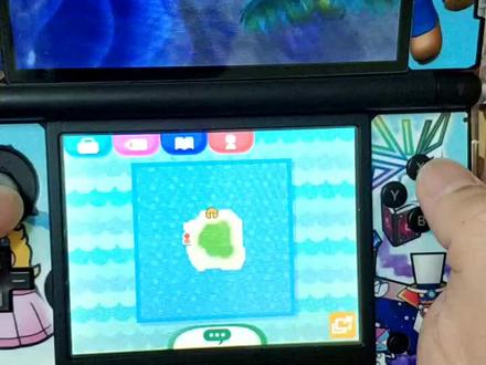 3ds动物之森 终于抓满一包了。