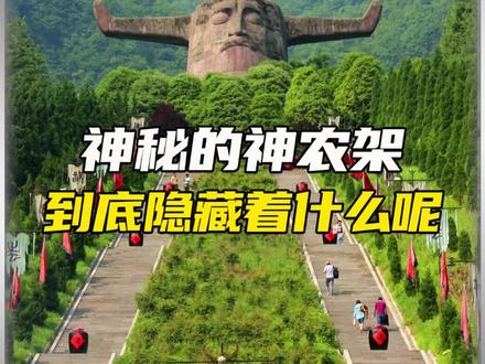 神农架的深处到底有什么#百科 #科学 #神农架