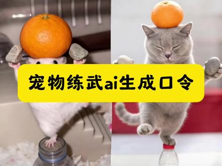 宠物练武AI生成口令#豆包ai ,#豆包P图已经nextlevel了#宠物练武ai生成#宠物ai生成照片口令#宠物练武术ai 宠物打拳ai生成指令 台上一分钟台下十年功 宠物头顶东西单脚站立AI口令