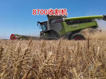 体验六百万的克拉斯8700收割机,一天轻松收获成百上千吨的粮 #传凯 #跨区收割 #农业机械 #克拉斯收割机#农机人