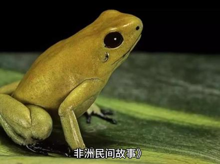 非洲民间故事 #百科