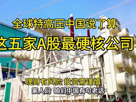 全球特高压,中国说了算!这五家A股“国家队”到底多硬核?#特高压#电力设备#特变电工#国电南瑞
