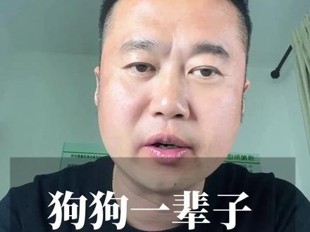 狗狗一辈子只认一个主人,成犬养不熟,这种说法正确吗 #养狗经分享 #科学养宠攻略 #新手养狗#狗狗