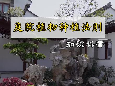 记住庭院植物种植的六字黄金法则,种植效果绝对拉爆邻居家!#庭院植物 #中式庭院 #庭院设计 #园林绿化