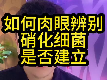 三步教你观察硝化细菌是否建立#硝化细菌 #新手养鱼 #养鱼日记