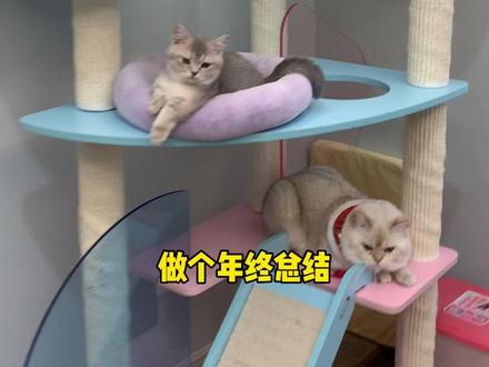 新年快乐鸭@DOU+小助手