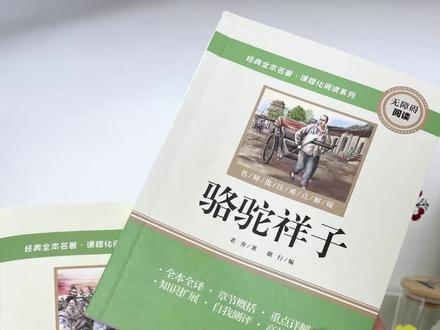 #初中生 #七年级 #必读名著 #骆驼祥子 #钢铁是怎样炼成的 假期啃完开学稳了