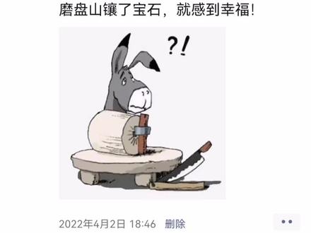 驴,不会因为磨盘上镶了宝石就感到幸福!!