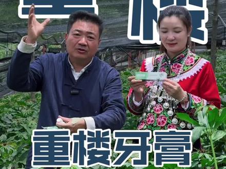 重楼牙膏 滇重楼、也叫七叶一枝花、也叫独角莲!#随息堂 #重楼牙膏 #重楼牙膏功效 #重楼