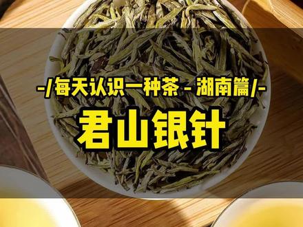 每天带你认识一种茶-08:君山银针。#茶 #茶生活#茶知识 #召唤茶友 #爱喝茶的关注我 #三农
