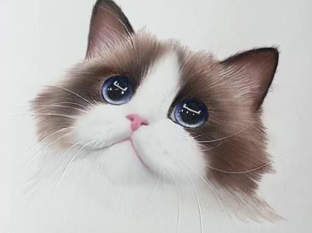 彩铅猫咪基础教程来啦~ #画画#彩铅画#送ta上精选 #抖音精选宠粉福利 #2025年度精选内容盘点