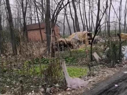 这里真是苏北最穷的,不信你看我们村!