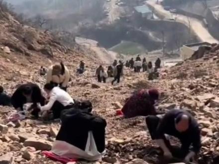 河南新密一山坡“免费挖玉”爆火,有人挖到15斤黄金?知情人:早年有玉石矿,现在基本上都是玉石渣,镇人民政府工作人员:“没有听说有黄金,应该是假的”。