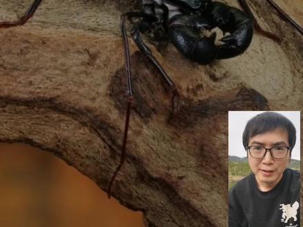 最近大家担心有毒的6大“生物”#科普