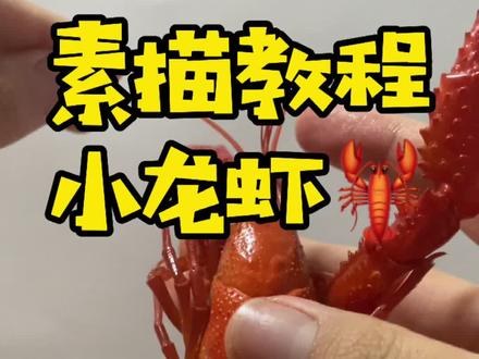 粉丝们久等啦!美味小龙虾送给你们🦞🍺#素描 #教程 #来支铅笔素描系列教程 @DOU+小助手