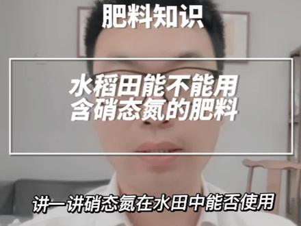 含有硝态氮的肥料能否在水田中使用!#硝态氮#每天跟我涨知识