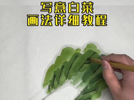 国画白菜画法详细教程#国画 #写意花鸟 #零基础学国画 #国画教学#写意白菜画法