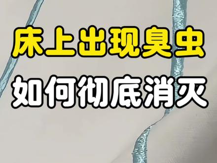 床铺出现臭虫,该如何彻底消灭 床铺出现这种虫子你要注意了,这个是个极度危险的虫子,这个是臭虫,也叫床虱,臭虫通常呈扁圆形,颜色多为褐色或棕红色,白天看不到,晚上出来活动,夜晚趁人睡觉的时候出来叮咬人吸血,经常起床身上出现一些红疹子,硬硬的又红又痒的,就是它的杰作,会长期寄生在床垫的缝隙、褶皱、边缘等地方定居并繁殖。严重影响人类身体健康,臭虫繁殖能力较强,环境合适情况下会迅速增加,家里发臭虫就要及时处理消灭了,最安全有效的方法还是使用杀虫剂,可选择成分是呋虫胺的无色无味,喷在臭虫出没躲藏的地方,消灭臭虫与虫卵,孕婴宠家庭都可以使用
#臭虫 #床上发现臭虫 #臭虫床虱 #臭虫咬人 #臭虫消杀