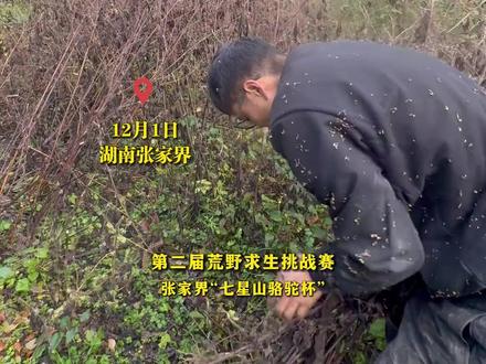 决赛第八天建哥发现荒野“粮食”,辛苦扛回来的石臼派上用场了。(来源:网络综合;编辑:韦宁 校对:覃筱宁)