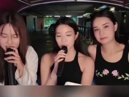 金凤的中文这么厉害呀 看吧小猴子崇拜的 哈哈哈