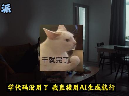 VibeCoding时代下的程序员四大门派,你是哪一派? #AI #VibeCoding #氛围编程