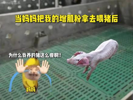 “当妈妈把我的增肌粉拿去喂猪后”#猫meme #内容过于真实