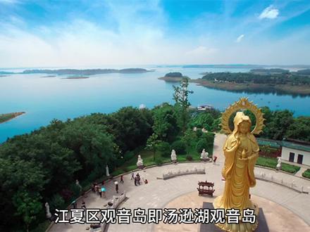 江夏区观音岛即汤逊湖观音岛,位于湖北省武汉市江夏区汤逊湖中,是一个自然风光优美、历史文化悠久的小岛。以下是关于它的一些具体信息:
1. **自然景观**:岛上翠竹林立,湖泊环绕,生态环境良好,是游玩和朝拜的好去处。从空中俯瞰,观音岛形似神佛菩萨之形,亦似神龟入海,又似普度众生的般若之舟。
2. **主要景点**:岛上有武汉莲华寺,该寺始建于1693年(清朝康熙32年),原名莲花庵。2000年9月30日,圆悟法师率四众弟子至此,依《妙法莲华经》更名莲华寺。寺内建筑规划遵循“一轴两线三域”格局,有山门、六度门、普光明殿、朝山会馆、僧寮等佛教建筑。未来,莲华寺将按照规划改扩建工程逐步建设成为华中地区最大的观音道场。
3. **文化价值**:作为佛教文化的传承地,莲华寺承载着深厚的历史文化底蕴,对研究当地的佛教发展和文化传承具有重要意义。同时,它也是周边信众的心灵寄托,每年吸引众多香客前来朝拜。
4. **旅游价值**:随着莲华寺的改扩建工程推进以及周边配套设施的完善,观音岛将成为集观音文化体验、佛教朝拜、高端禅修佛学、休闲度假养生、生态观光旅游等为一体的专项佛教文化旅游基地,与周边的秀美汤逊湖景观、良好生态环境的中洲岛形成特色旅游资源,满足各阶层人士休闲养生、宗教文化旅游的心理诉求。
综上所述,武汉市江夏区观音岛是一个融合了自然风光与人文历史的宝地,不仅具有深厚的佛教文化底蕴,还拥有广阔的发展前景和旅游价值。