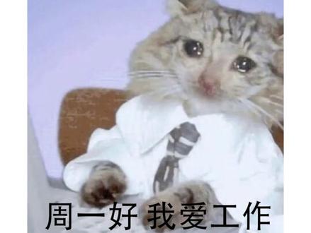 #表情包 #日语 #可爱 日语后缀「桑」的含义~