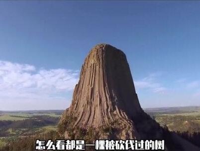 所谓的“远古巨树”究竟在哪?#涨知识 #地球 @抖音创作者中心