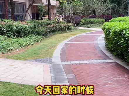 #手帐 DIY八音盒@抖音小助手