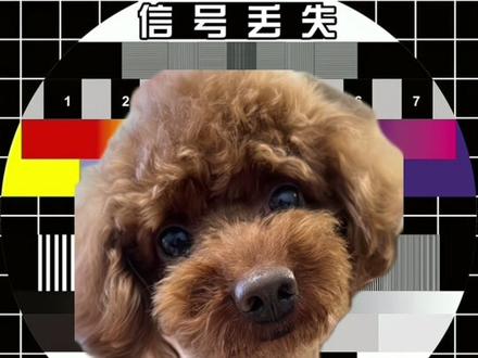 Macbook air果然是必须要买care+服务的产品榜首哦,这才几个月就要维修了唉。。。 不过一边等修一边喝喝奶茶还是不错的,哈哈😃#macbook #随手发一个小日常 #apple #vlog日常