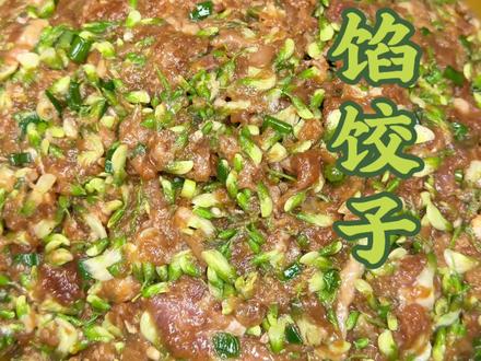 春季饺子馅儿天花板,槐花馅猪肉饺子,一口下去,那叫一个鲜,馅嫩多汁,好吃到无法用语言来形容。#农村生活 #农村美食 #槐花 #饺子 #家常菜