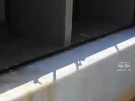 记住这个排水口!福岛第一核电站核污染水 从这里排入太平洋!